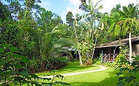 Heritage Lodge - In The Daintree
